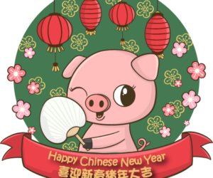 Year of Pig and Nurturing our Children’s Curiosity